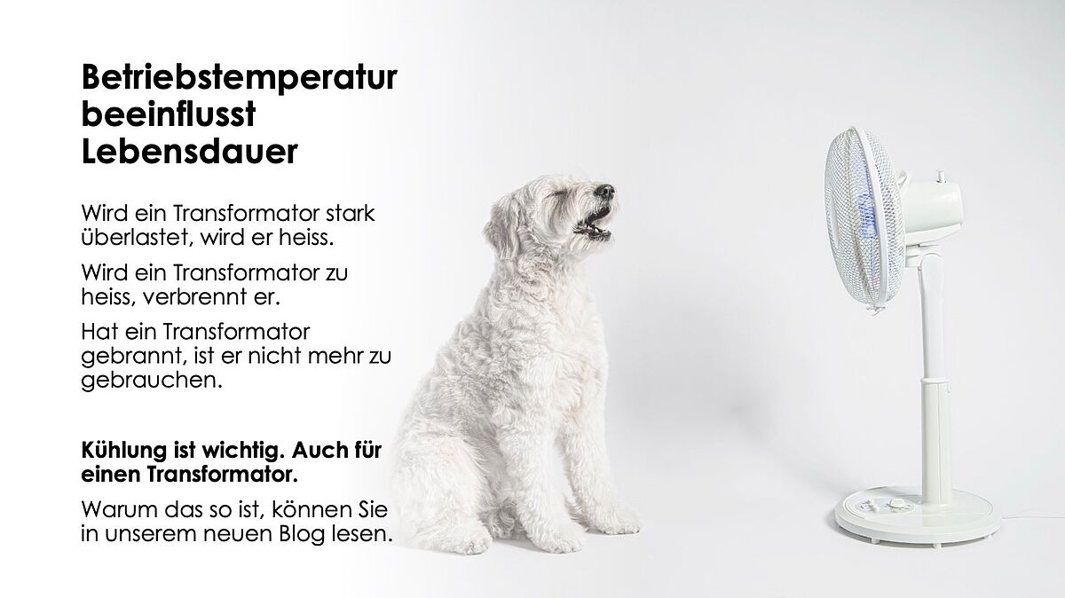 Ein Hund der vor einem Ventilator sitzt und auf der linken Seite steht viel Text.